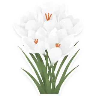 🌼