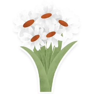 🌼