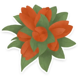 🌷