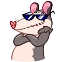 😎