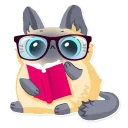 👓