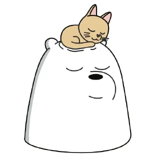 🐱