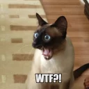 😱