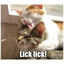 😛