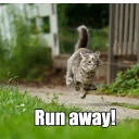 🏃