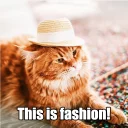 👒