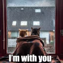 👫