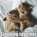 💞