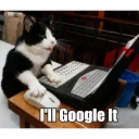 💻
