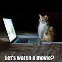 🎥