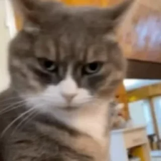 🤓