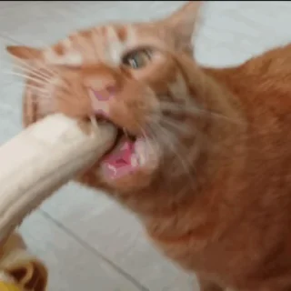 🍌