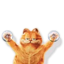 😎