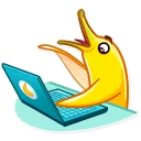💻