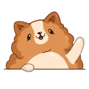 👋