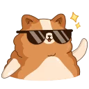 😎