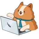 👨‍💻