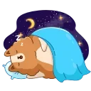 😴