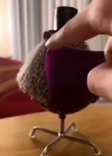 🦔