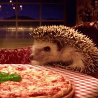 🦔