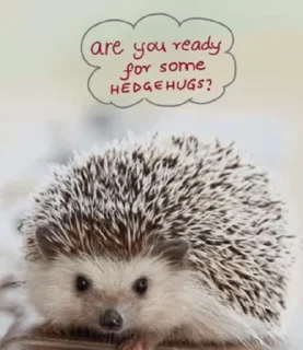 🦔