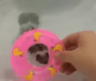 🦔