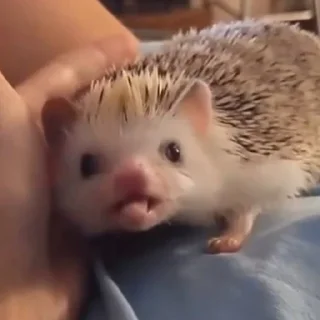 😛