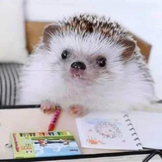 🤓