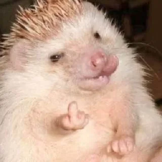 🖕