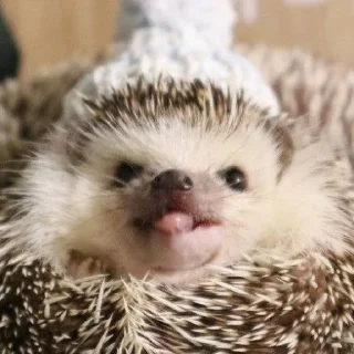 😛