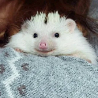 🙂