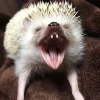😡