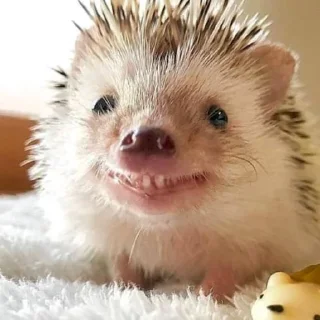😁