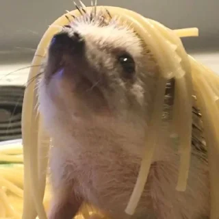 🤥