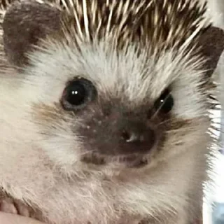 🤨