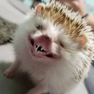 😁