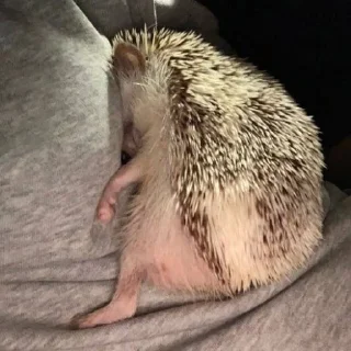 🤧