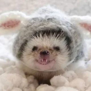 😄