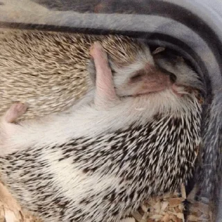 🥰