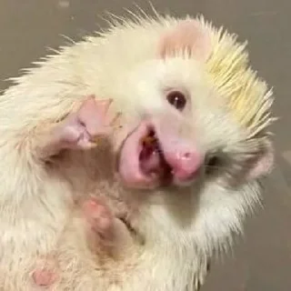 🤗
