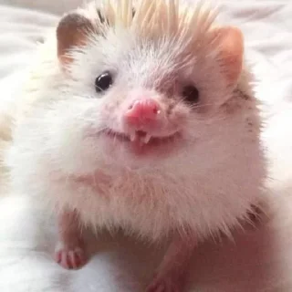 😬
