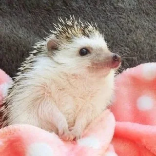 ☺️