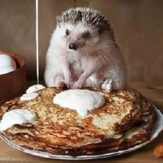 🥞
