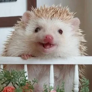 😀