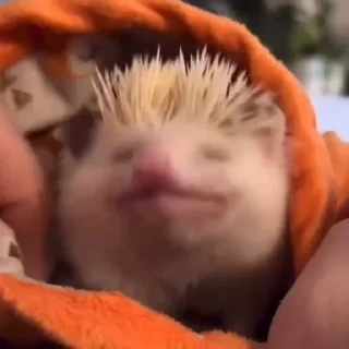 ☺️