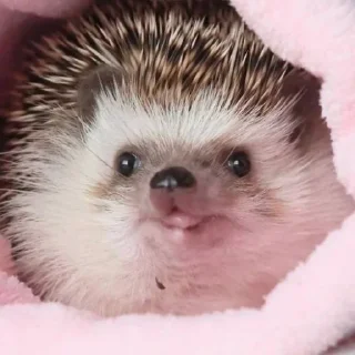 😛