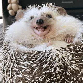 😄