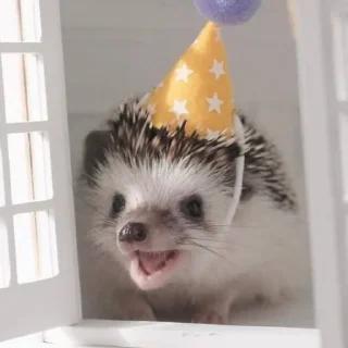 🥳