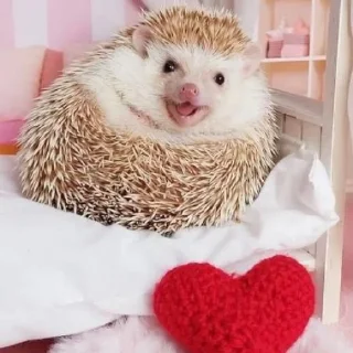 😍