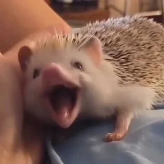 😅